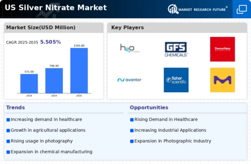 US Silver Nitrate Market
 Infographic