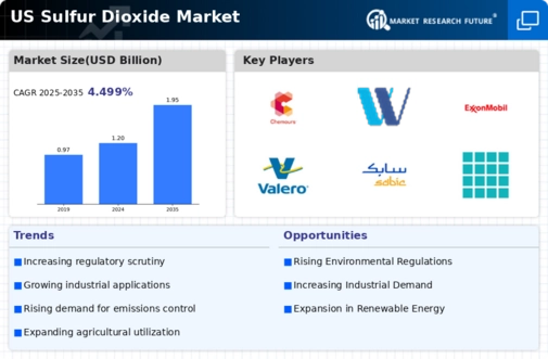 US Sulfur Dioxide Market
 Infographic