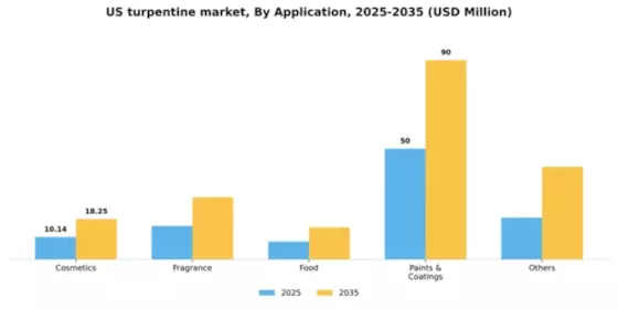 US Turpentine Market Segment Image 0