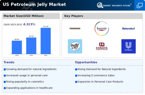 US Petroleum Jelly Market
 Infographic