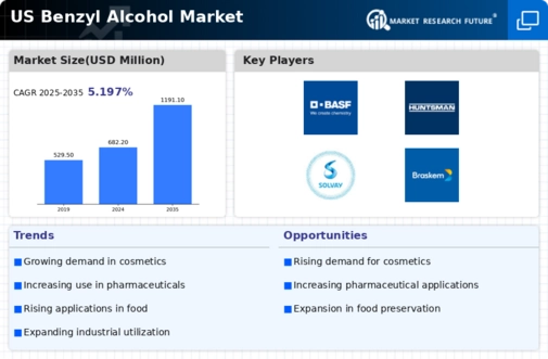 US Benzyl Alcohol Market
 Infographic