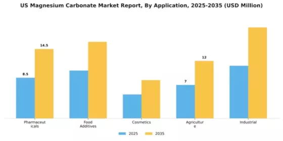 US Magnesium Carbonate Market
 Segment Image 0