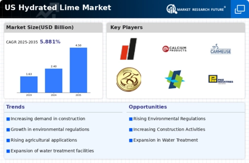 US Hydrated Lime Market
 Infographic