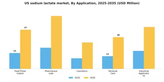 US Sodium Lactate Market
 Segment Image 0