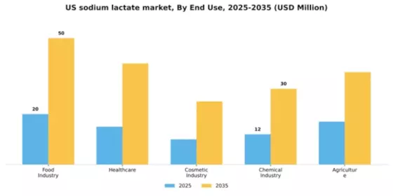 US Sodium Lactate Market
 Segment Image 2