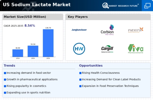 US Sodium Lactate Market
 Infographic