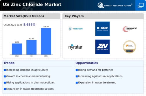 US Zinc Chloride Market
 Infographic