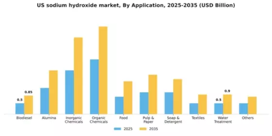 US Sodium Hydroxide Market Segment Image 0