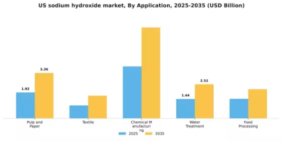 US Sodium Hydroxide Market
 Segment Image 0