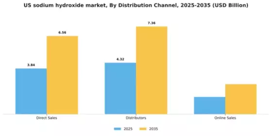 US Sodium Hydroxide Market
 Segment Image 1