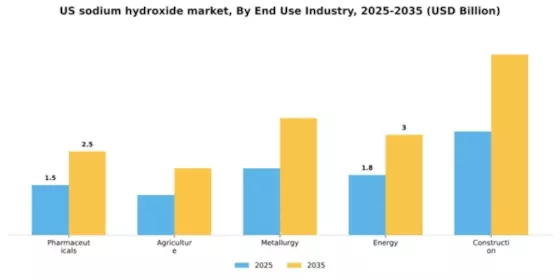 US Sodium Hydroxide Market
 Segment Image 2