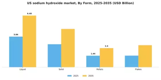 US Sodium Hydroxide Market
 Segment Image 3