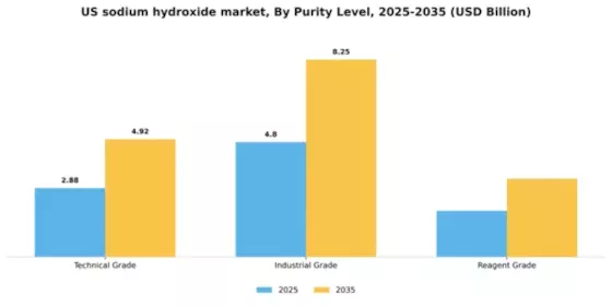 US Sodium Hydroxide Market
 Segment Image 4