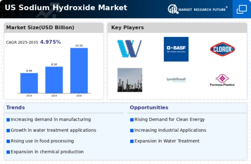 US Sodium Hydroxide Market
 Infographic
