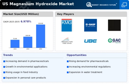 US Magnesium Hydroxide Market
 Infographic