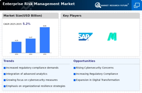 Enterprise Risk Management Market Infographic