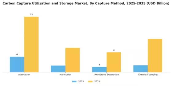 Carbon Capture Utilization Storage Market Segment Image 1