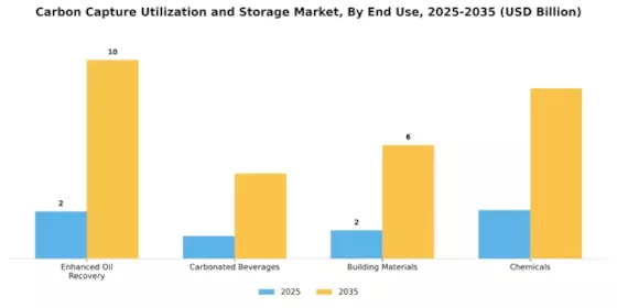Carbon Capture Utilization Storage Market Segment Image 2