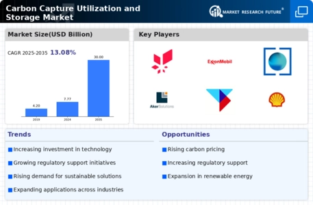 Carbon Capture Utilization Storage Market Infographic
