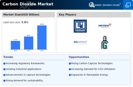 Carbon dioxide Market Infographic