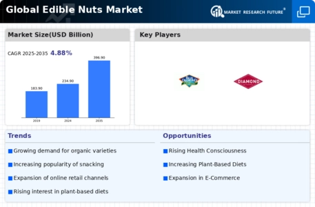 Edible Nuts Market Infographic