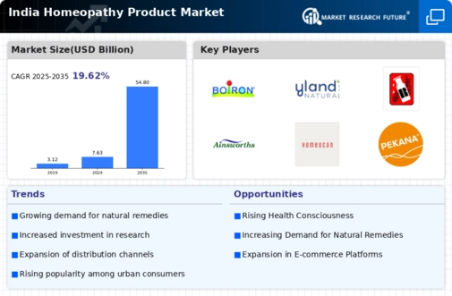 India Homeopathy Product Market  Infographic