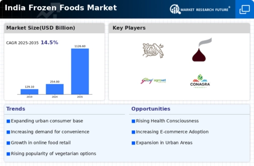 India Frozen Foods Market Infographic