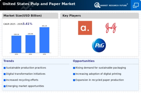 USA Pulp Paper Market
 Infographic