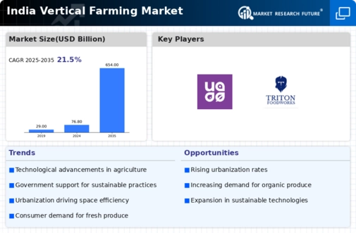 India Vertical Farming Market Infographic