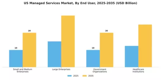 United States Managed Services Market Segment Image 1