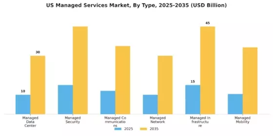 United States Managed Services Market Segment Image 1