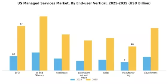United States Managed Services Market Segment Image 3