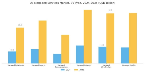 United States Managed Services Market Segment Image 1