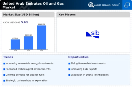 UAE Oil Gas Market Infographic