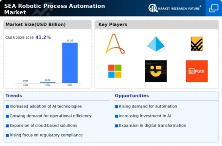 SEA Robotic Process Automation Market Infographic