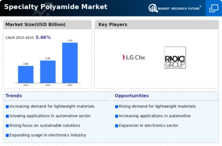 Specialty Polyamide Market Infographic