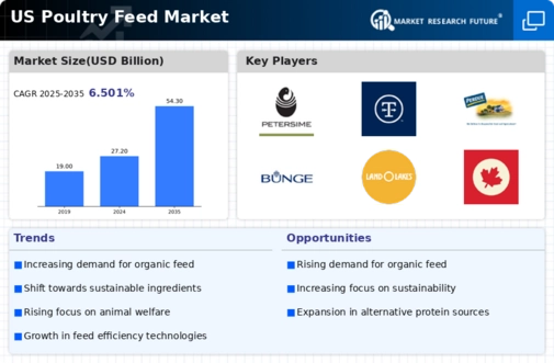 US Global Poultry Feed Market Infographic
