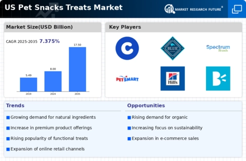 US Pet Snacks & Treats Market  Infographic