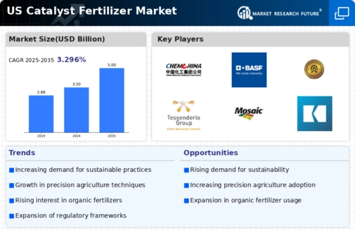 US Catalyst Fertilizer Market Infographic