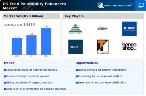 US Feed Palatability Enhancers Modifiers Market Infographic