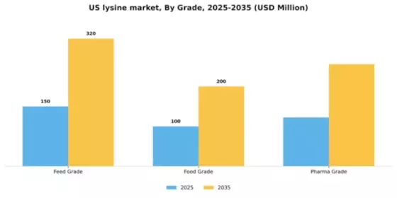US Lysine Market Segment Image 2