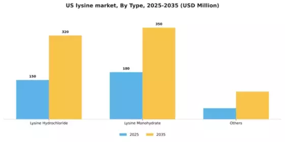 US Lysine Market Segment Image 3