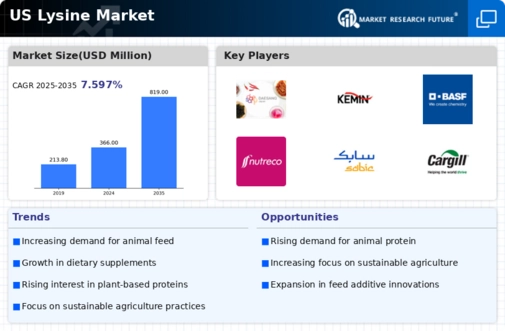 US Lysine Market Infographic