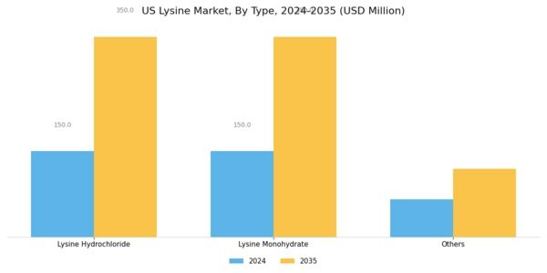 US Lysine Market Segment Image 0