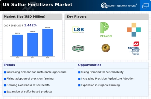 US Sulfur Fertilizers Market Infographic