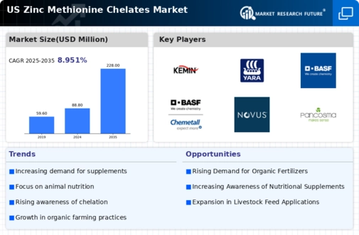 US Zinc Methionine Chelates Market Infographic