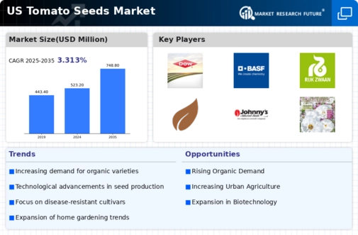 US Tomato Seeds Market Infographic