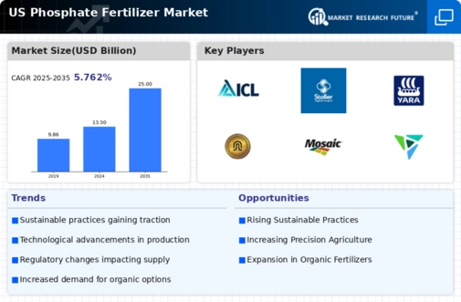US Phosphate Fertilizer Market Infographic