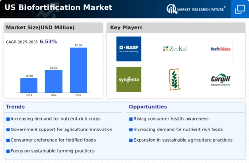 US Biofortification Market Infographic
