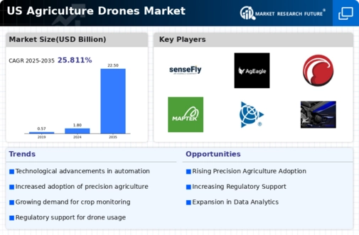 US Agriculture Drones Market Infographic